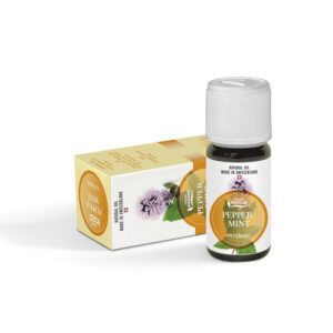 Ginkgo Forte GP