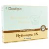 Hydrangea EX
